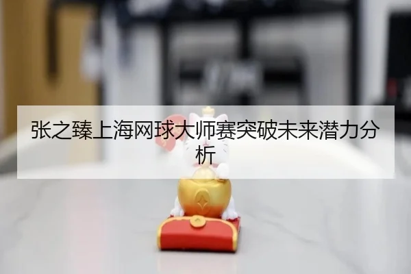 张之臻上海网球大师赛突破未来潜力分析