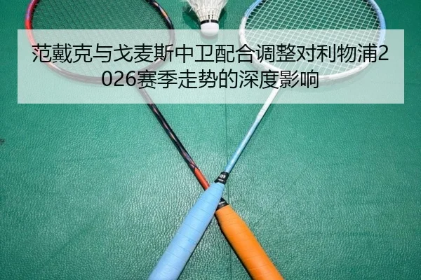 范戴克与戈麦斯中卫配合调整对利物浦2026赛季走势的深度影响
